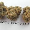 Продам котенка Россия, Санкт-Петербург Меконгский бобтейл