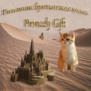 "Princely Gift". Британская кошка