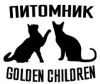 Питомник кошек Golden Children 