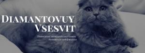 Частный питомник шотландски�… кошек «Diamantovuy Vsesvit». Скотиш фолд, Скотиш страйт
