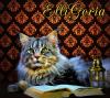 Питомник кошек Питомник Мейн-кунов ELLIGORIA (Эллигория) Краснодар